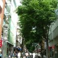 21may2006_064